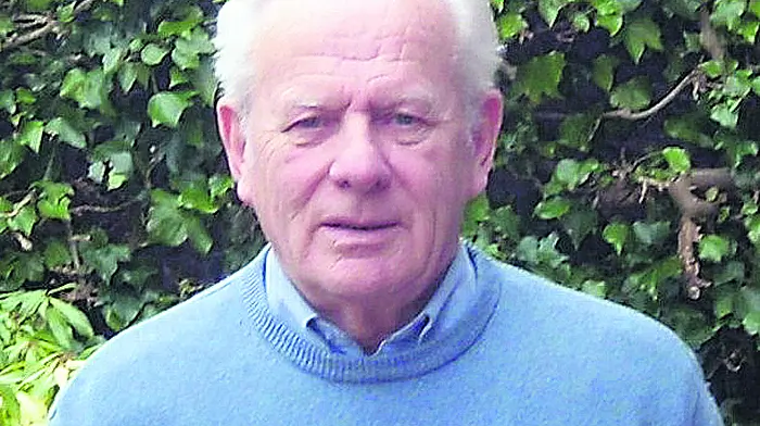 Bord Iascaigh Mhara's 32ft boats were ‘life changers' Image
