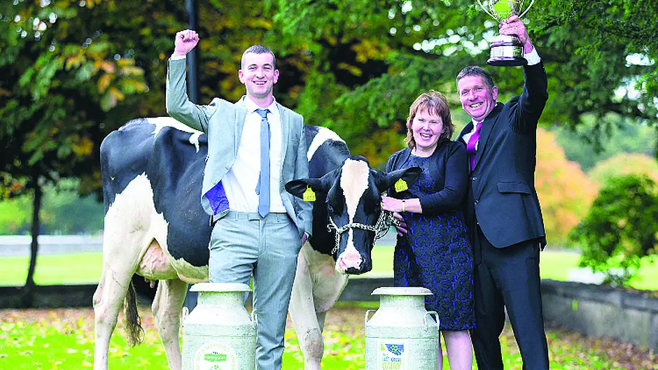 Search on for nation's top dairy farm Image
