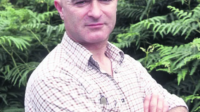New lease of life for Cork & Kerry walking books Image