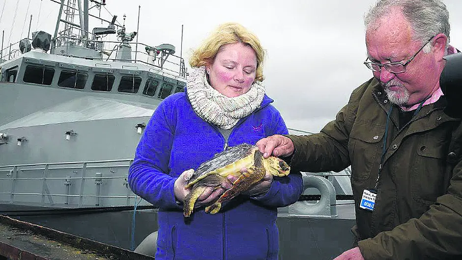 Una and Tallula hitch a ride to warmer climes on LÉ Róisín Image