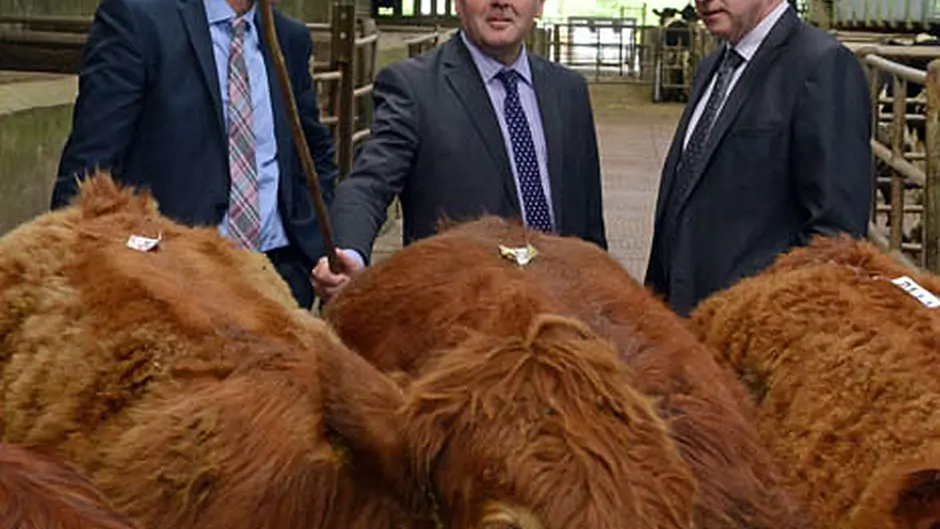 Minister's mart modernisation launch in Bandon Image