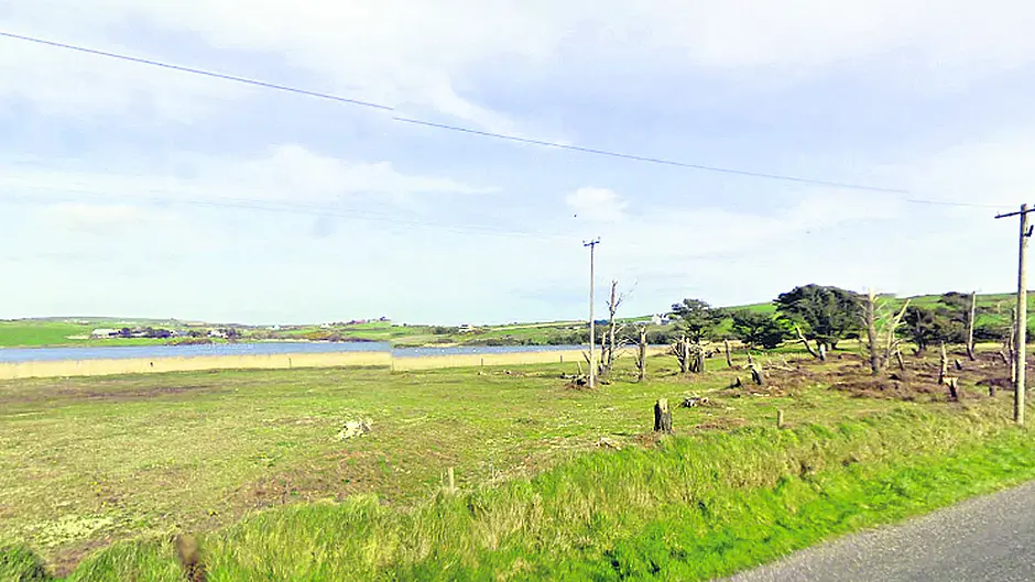 The very strange tale of the O'Leary family murder Image