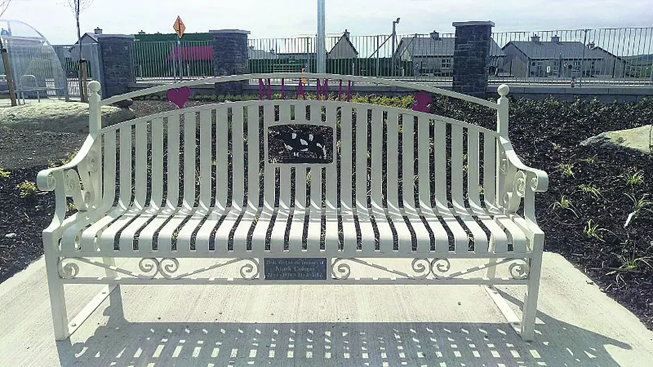 Niamh's bench is getting pride of place in new Community school Image