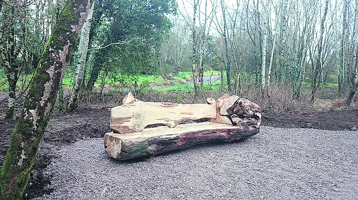 Fairy houses, a gym and loop walk at Kealkil's Carriganass Castle park Image