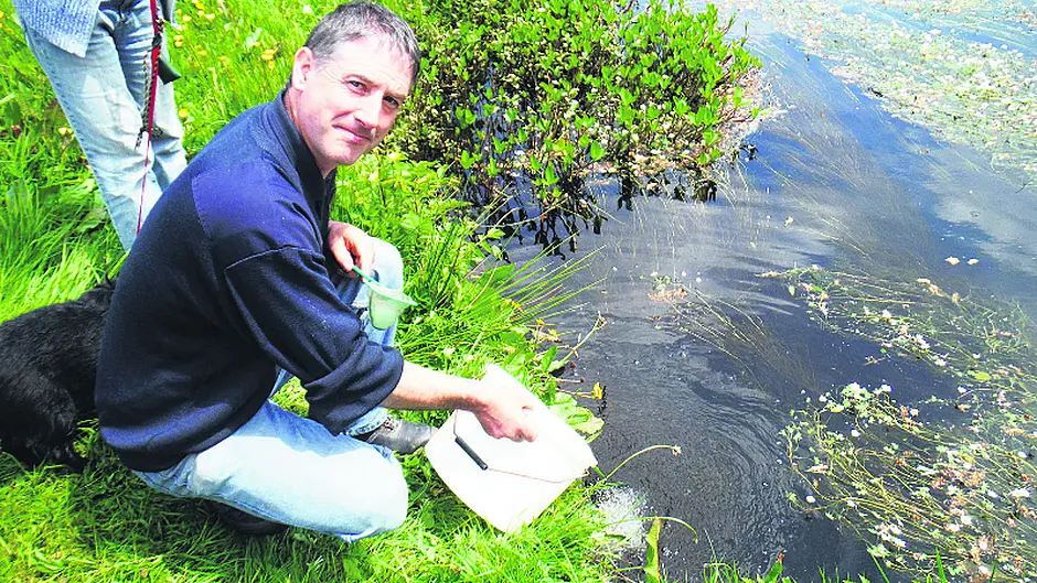 StreamScapes helps school students to take the ‘Lee-d' Image