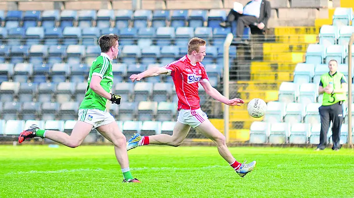 Minor boss calls on Rebel fans to support young guns in Killarney Image