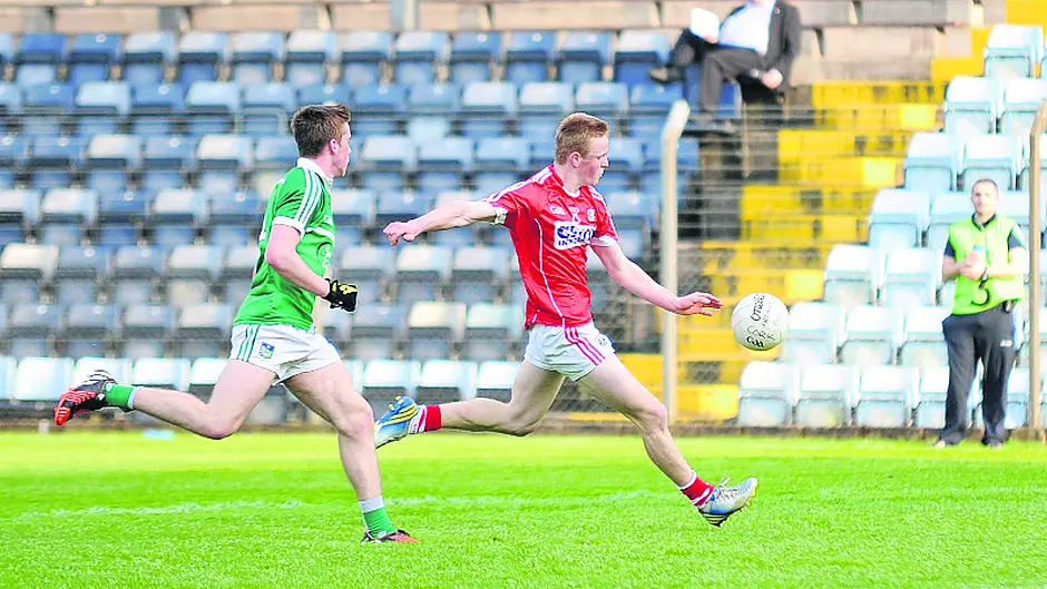 Minor boss calls on Rebel fans to support young guns in Killarney Image