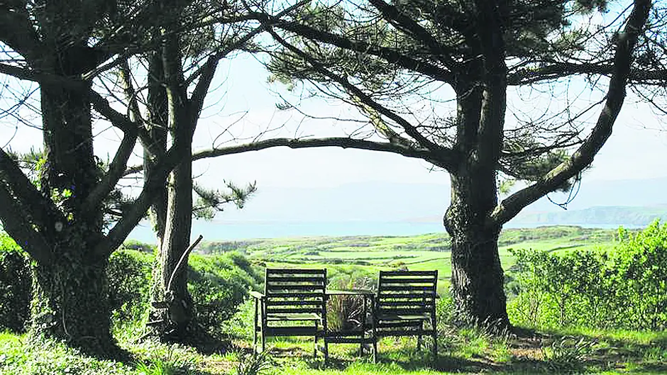 The creative spirits flock to Beara's Anam Cara Image
