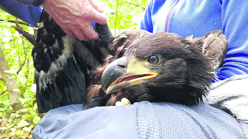 Third time lucky for Glengarriff parents Image