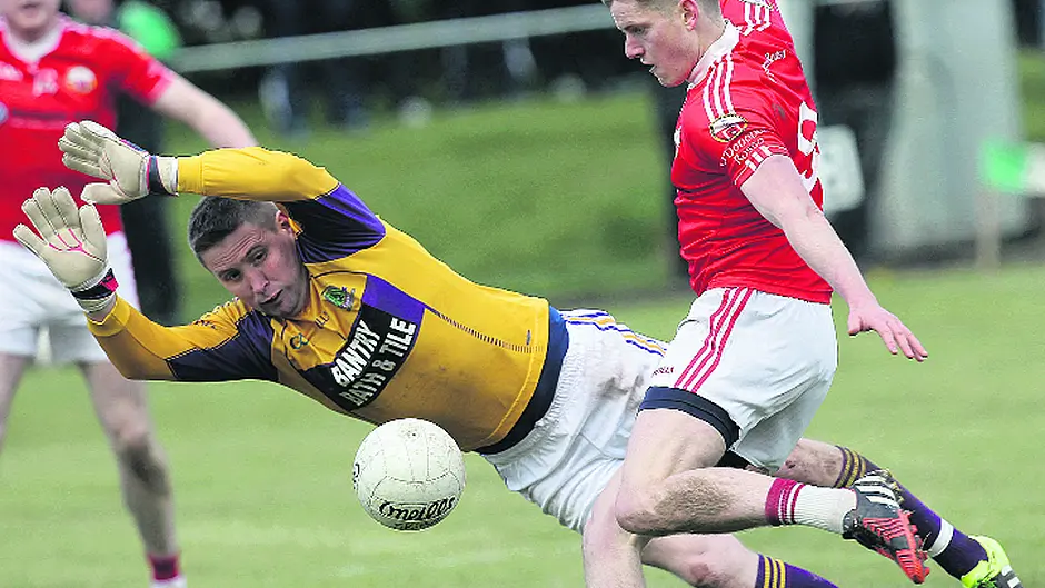 Prendergast hopes Carbery ‘click' before finding Nemo Image