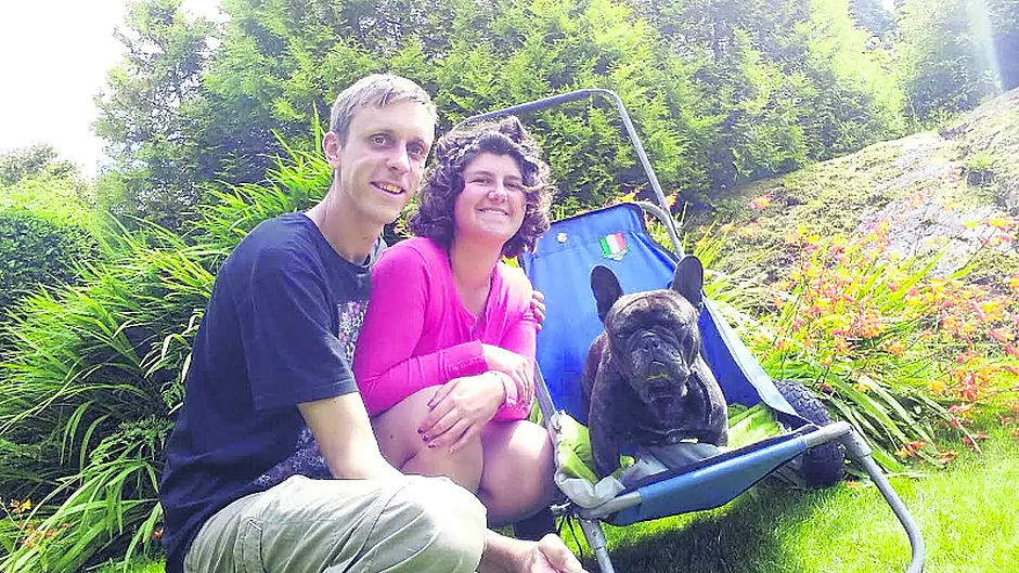 Deaf Milo laps up the sights of the Wild Atlantic Way Image
