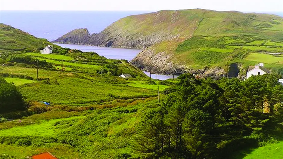 Cape Clear event will recall Rossa's island links Image