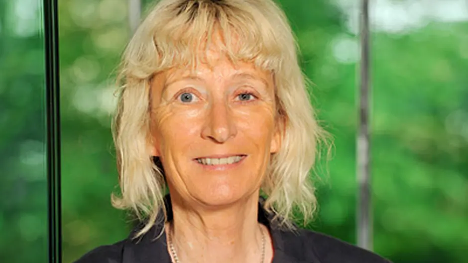 Award for Kinsale-based professor's UCC team Image