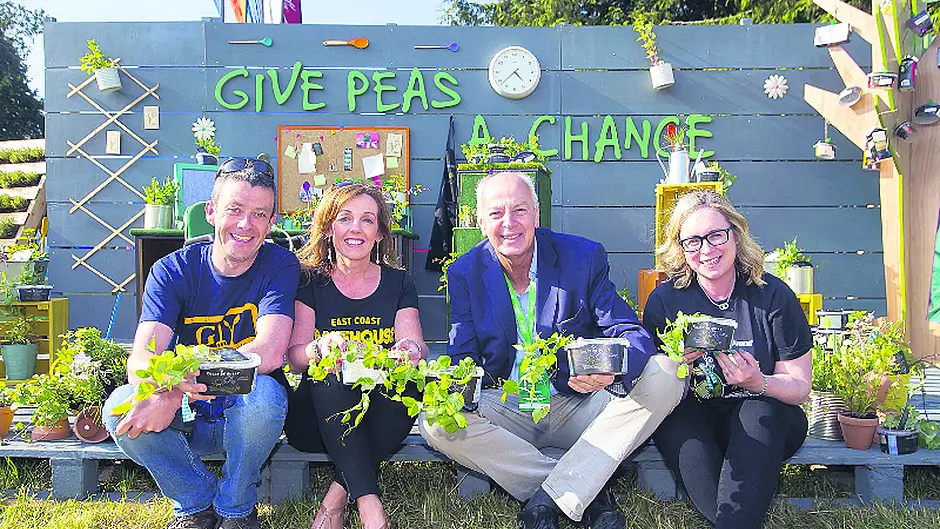 Firms are asked to sign up to the ‘al desco' food challenge Image