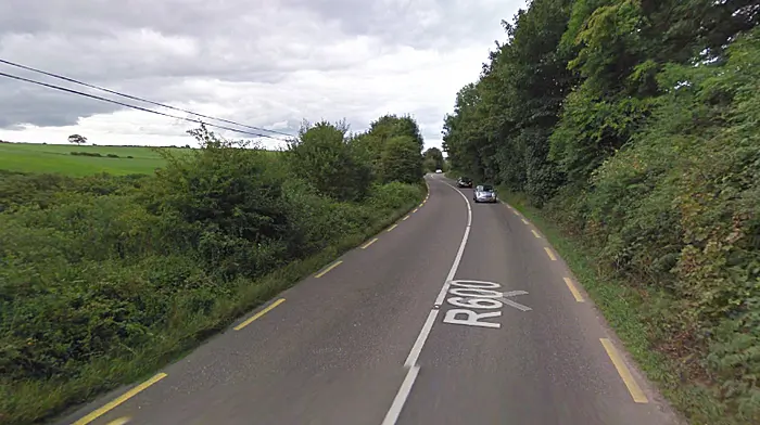 Gardai appeal for drivers to slow down Image