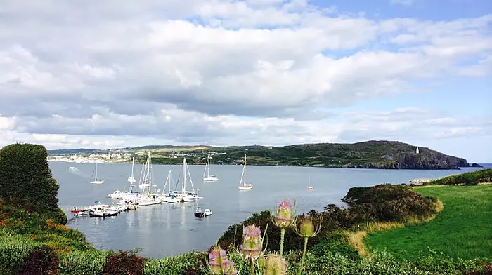 Woman in CUH after suspected jellyfish sting on Sherkin Image