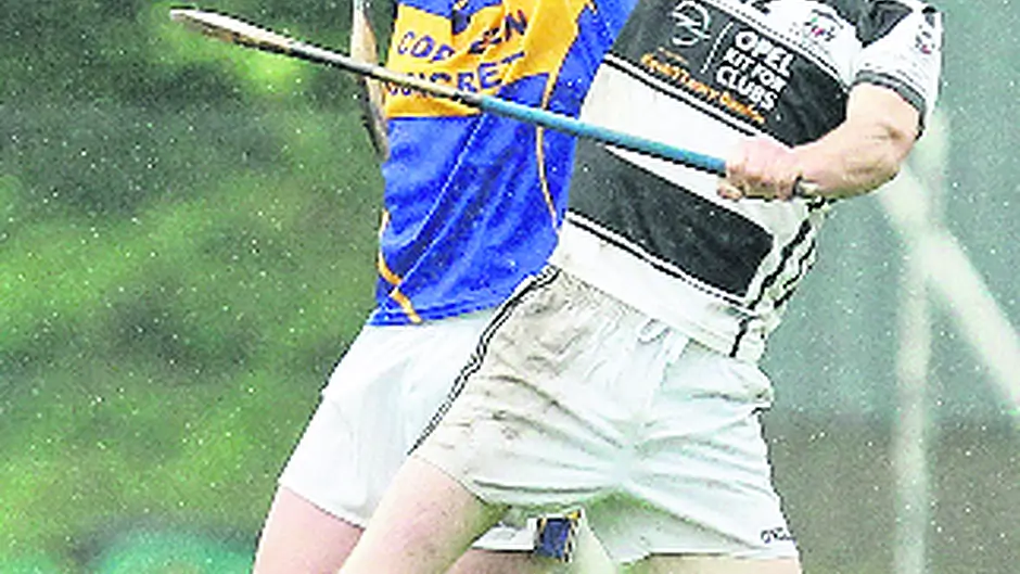 Hurling finalists will be revealed Image