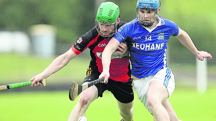 O'Donovan wants Kilbree hurlers to have no regrets Image