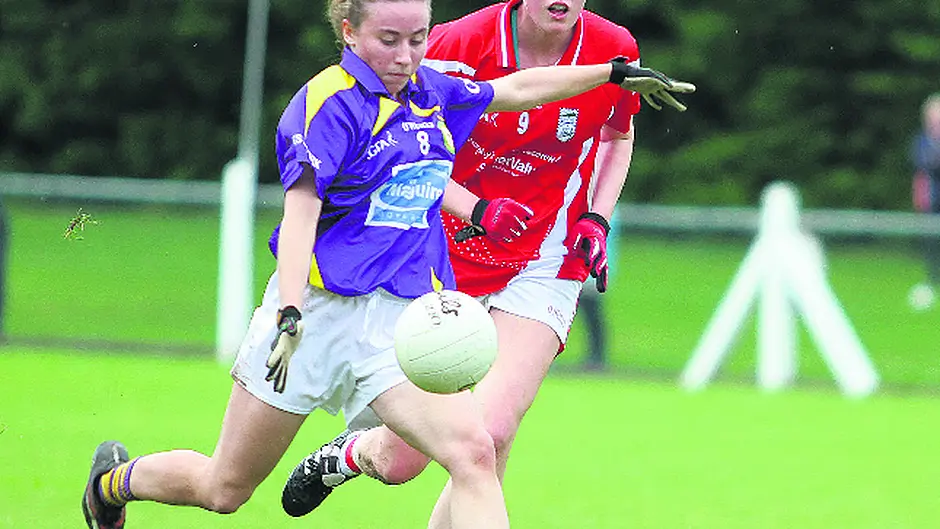 West's best blitz Beara Image