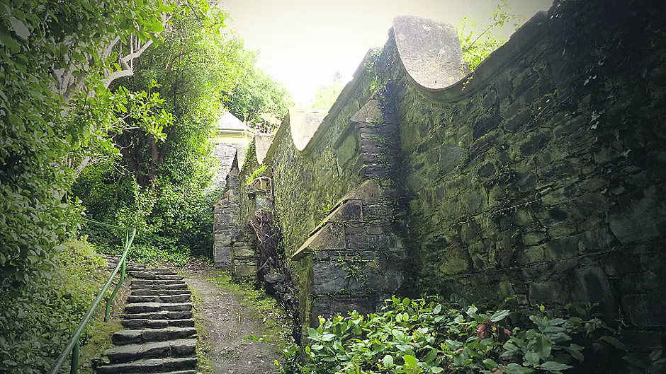 Living history on an island paradise in Bantry Bay Image