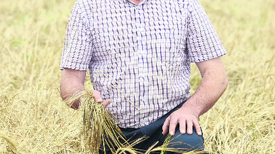 Farmer facing €10,000 loss on ruined crop Image