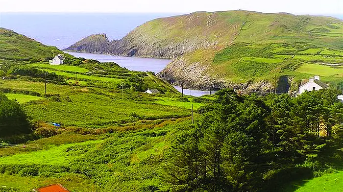 Council gives funding to West Cork's 1916 events Image