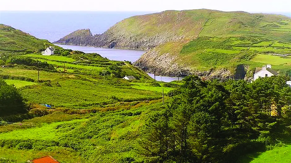 Council gives funding to West Cork's 1916 events Image