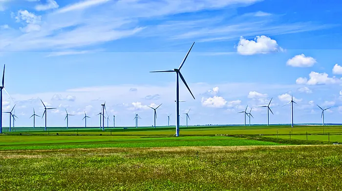 Local firm is seeking permission to build 68-hectare windfarm Image