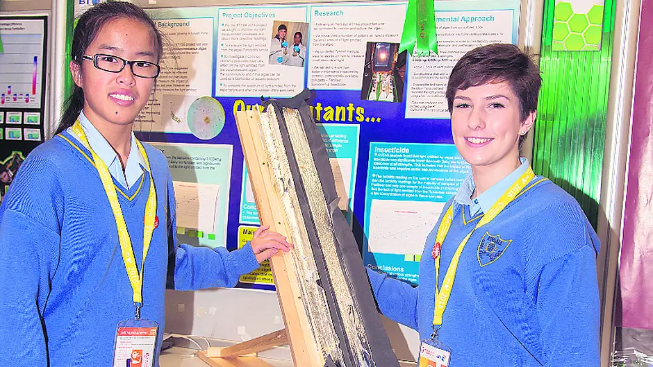 Good showing for West Cork schools in 52nd BT Young Scientists awards Image