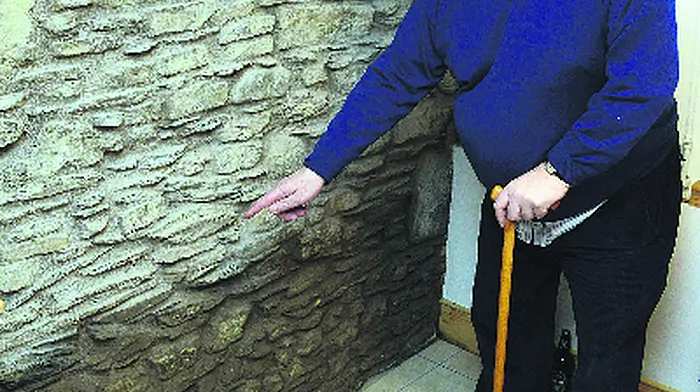 Innishannon: ‘There wasn't  even one sandbag delivered' Image
