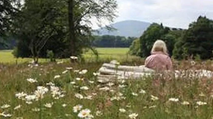 Bantry group is seeking five-acre site for its woodland burial plots Image