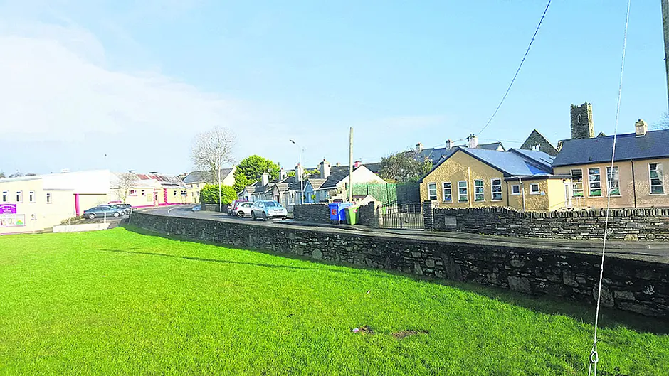 Town's green could make crossing a safer option Image