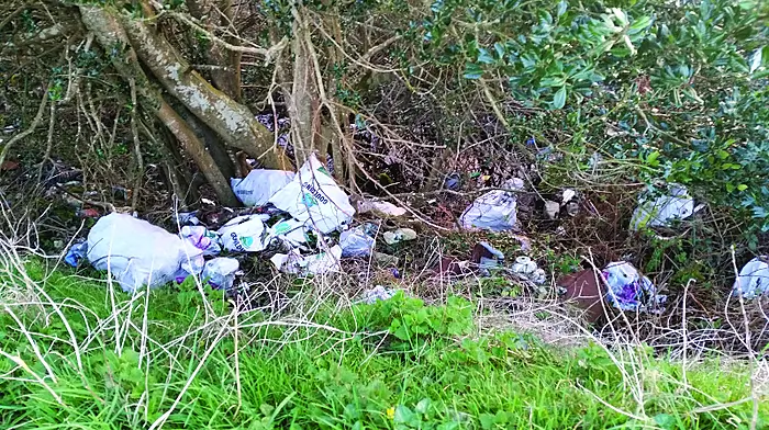 Motorist furious at filth along N71 Image