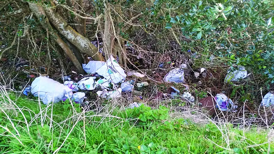 Motorist furious at filth along N71 Image