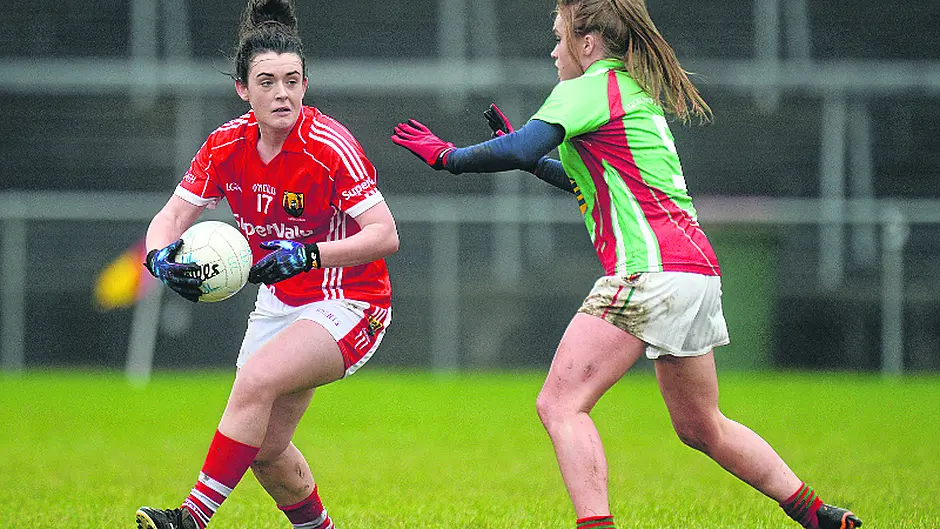 Fitzgerald has made  an instant impression, says O'Brien Image