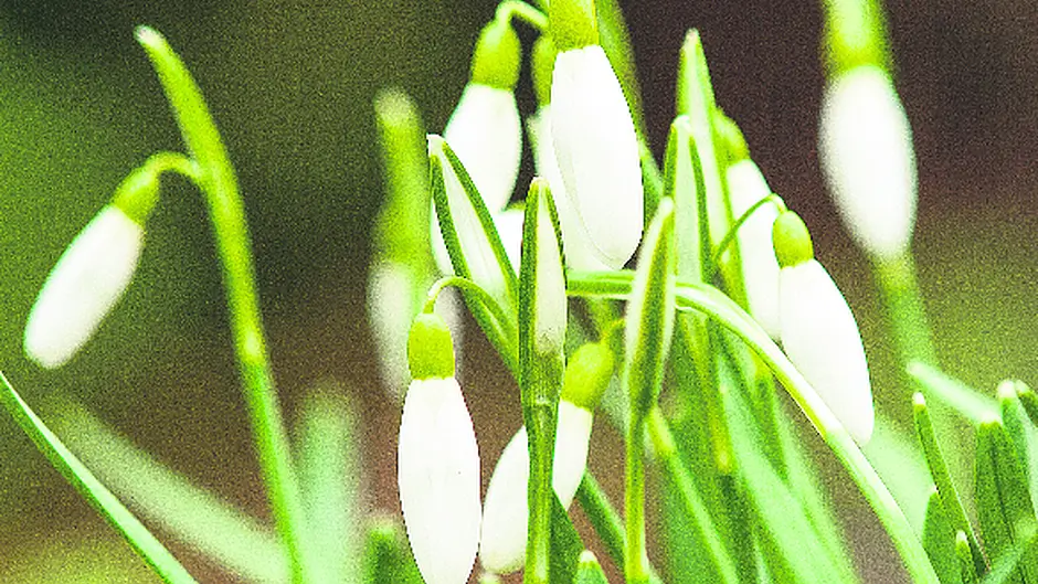 It won't be too long now! Image