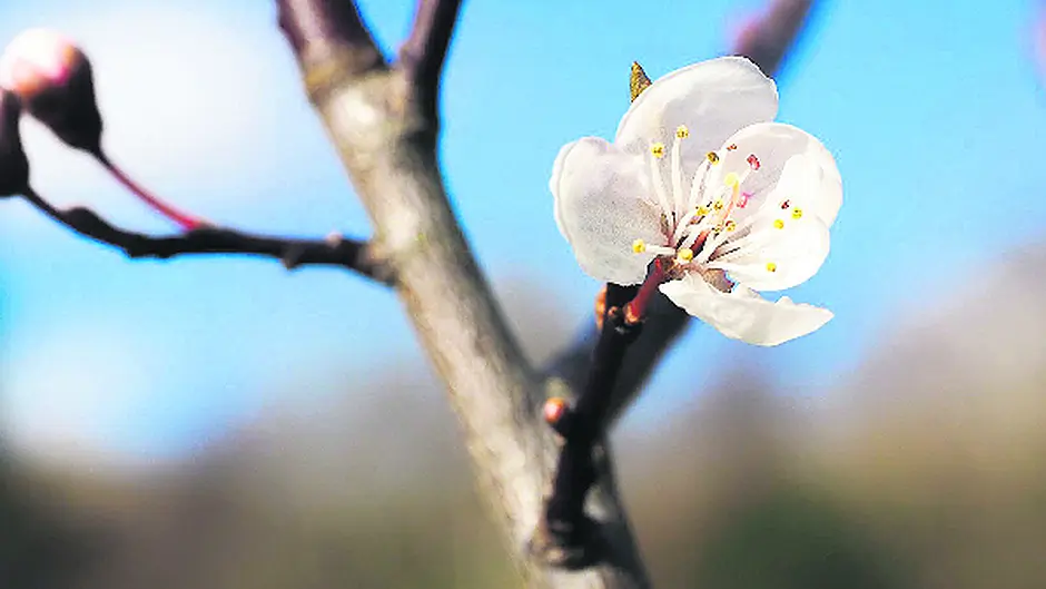 Nature is on the move again! Image