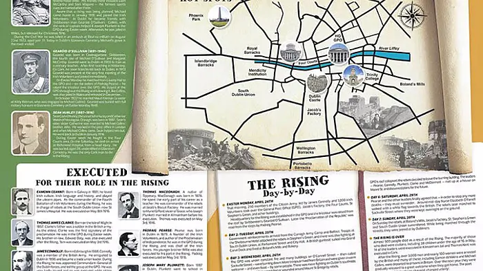 Get your free 1916 poster in this week's Southern Star Image