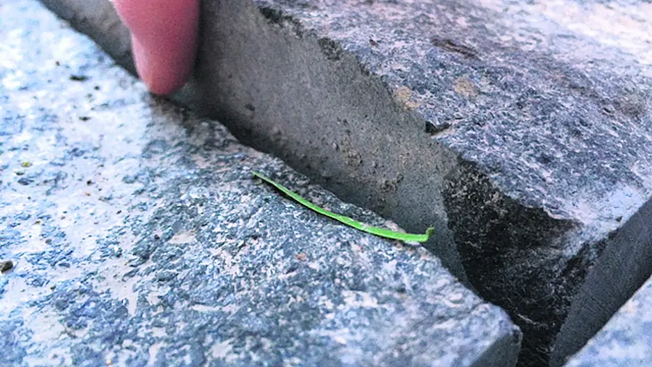 Clon's new footpaths under fire Image