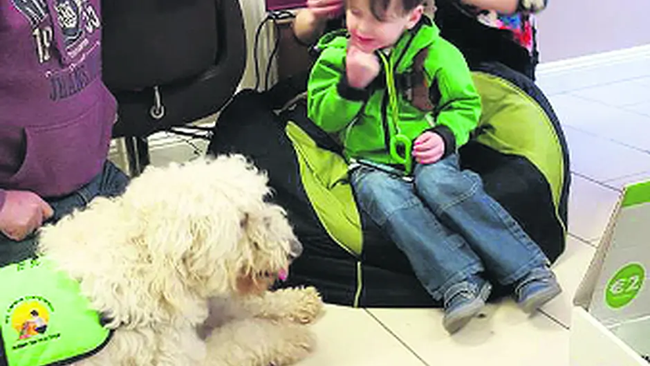 Clonakilty's shops are happy to take part in World Autism Day Image