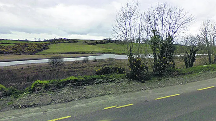 Clonakilty's forest at Gullane is ‘branching out' into community Image