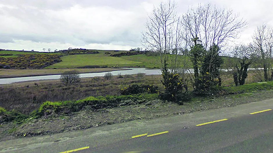 Clonakilty's forest at Gullane is ‘branching out' into community Image