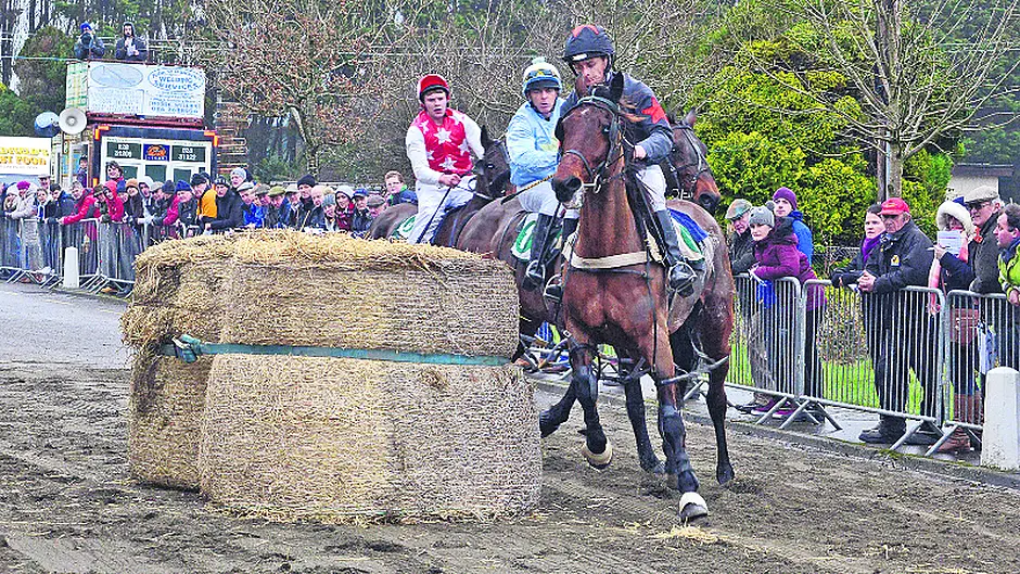 Forget Cheltenham, All-Ireland road trotting title is up for grabs Image