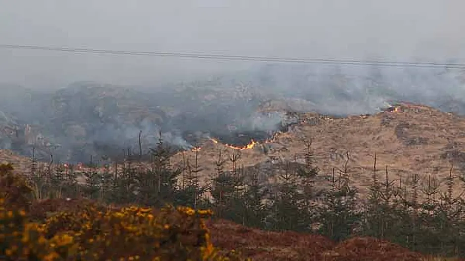 Gorse fires rage on Mizen Peninsula Image