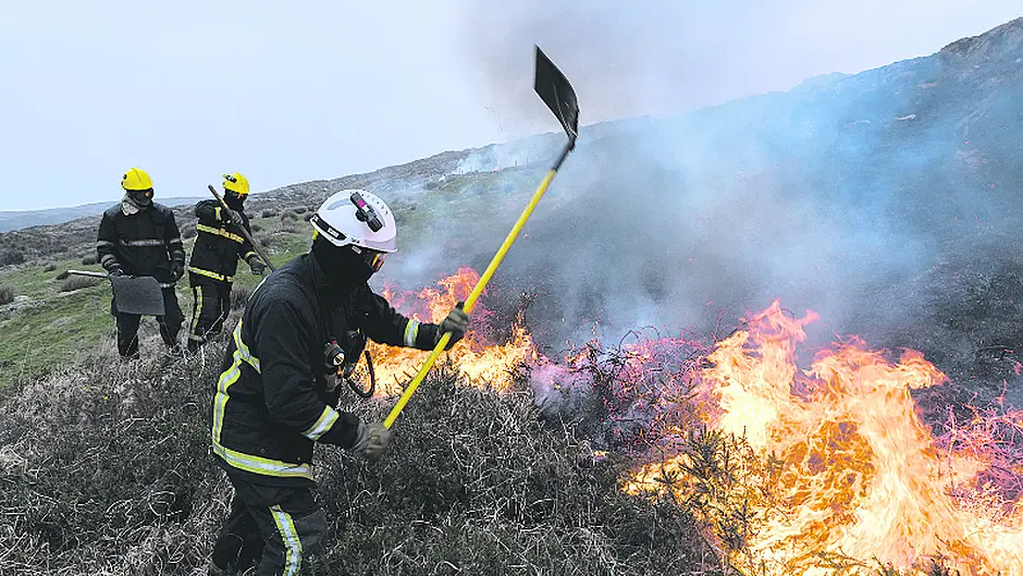 Don't want to be labelled ‘a snitch' Image