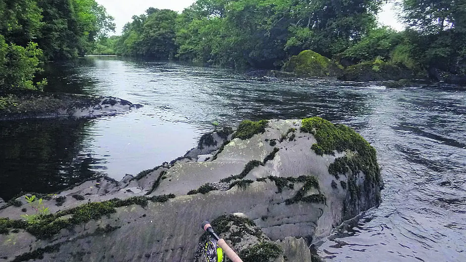 Ilen club encourages local anglers to join Image