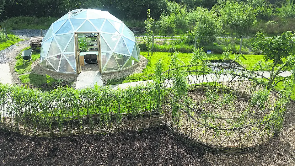 Combining nature with nurture Image