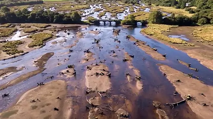 WATCH: Stunning aerial footage of The Gearagh's eerie landscape by local photographer Image