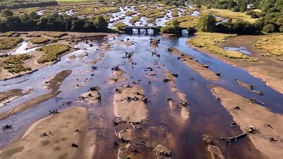 WATCH: Stunning aerial footage of The Gearagh's eerie landscape by local photographer Image