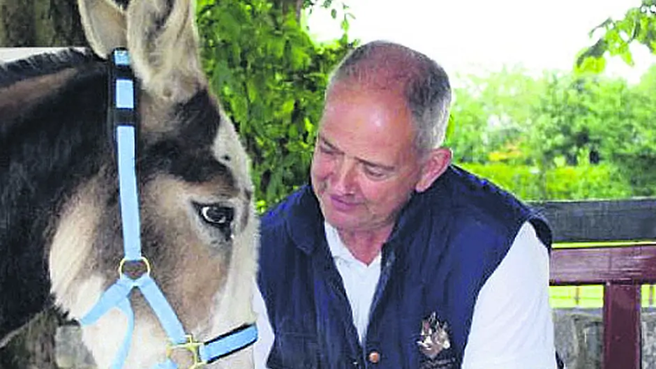 Councillors query wisdom of taking charge of wild horses Image